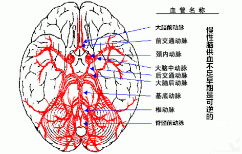 老人奇人最准资料